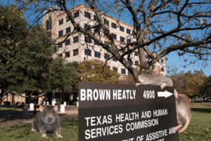 Mission of Texas Health and Human Services